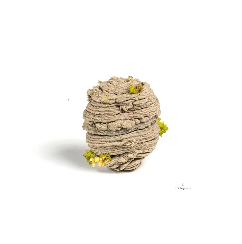 A totem created by Jannis Schäfer Studio, titled 'The Nature of Transformation: Lessons from a Potato.' The sculpture features a biomaterial made from 100% potato, including elements that are fermented and 3D printed and form the shape of a potato.